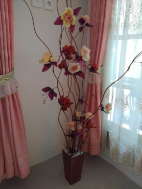 Homestay Anggur